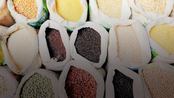 Blog post cover image - sacks of assorted grains. Blog post cover image for "The Health Benefits of Plant-Based Diets." Dr. A. Peraino, Internist and AMEC member describes the health benefits of plant-based diets.
